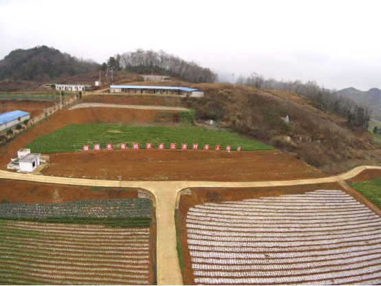 黔农优品：观麦提供信息化业务模式方案，助力黔农优品扭亏为盈