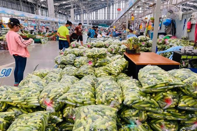 鲜食快线：观麦系统助力转型TOC业务发展，扩大市场规模