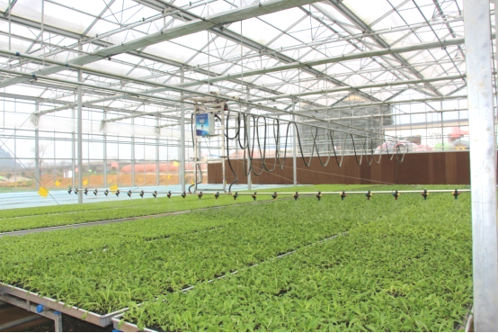 黔农优品：观麦提供信息化业务模式方案，助力黔农优品扭亏为盈