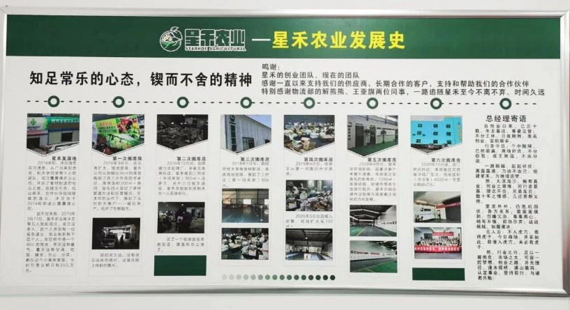 星禾农业：携手观麦，科学有效全面提升效能，大幅提升利润