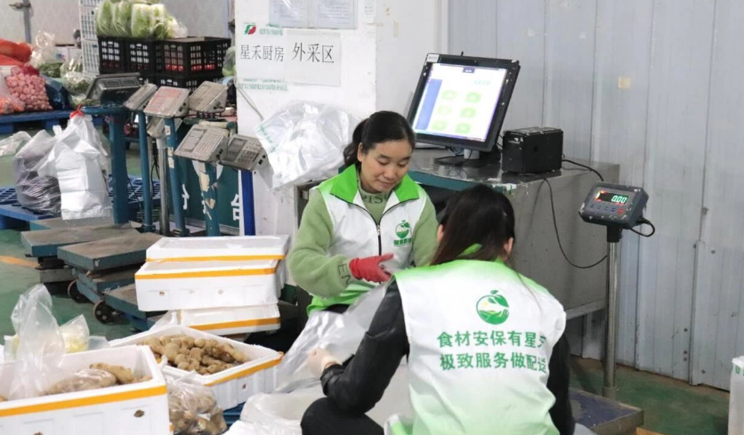 星禾农业：携手观麦，科学有效全面提升效能，大幅提升利润