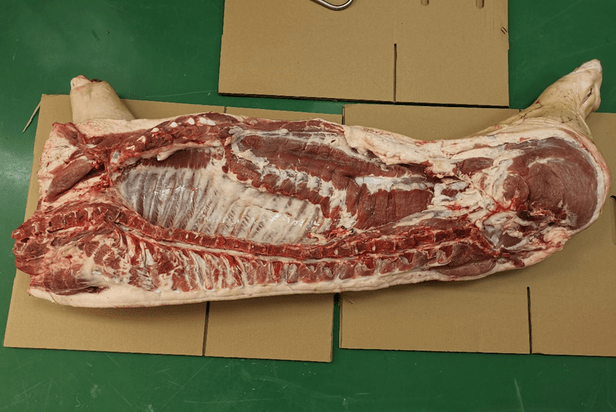 美国猪胴体可划分为(猪胴体率是多少) 美国猪胴体可划分为(猪胴体率是多少)