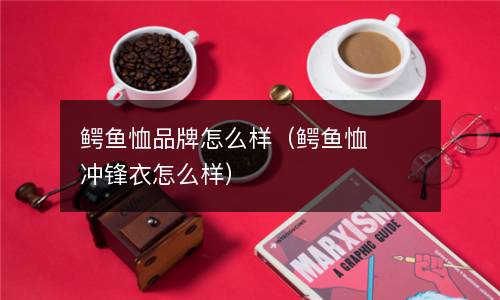 鳄鱼恤品牌怎么样（鳄鱼恤冲锋衣怎么样）