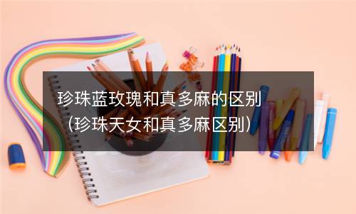 珍珠蓝玫瑰和真多麻的区别（珍珠天女和真多麻区别）