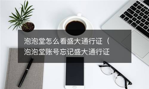 泡泡堂怎么看盛大通行证（泡泡堂账号忘记盛大通行证）