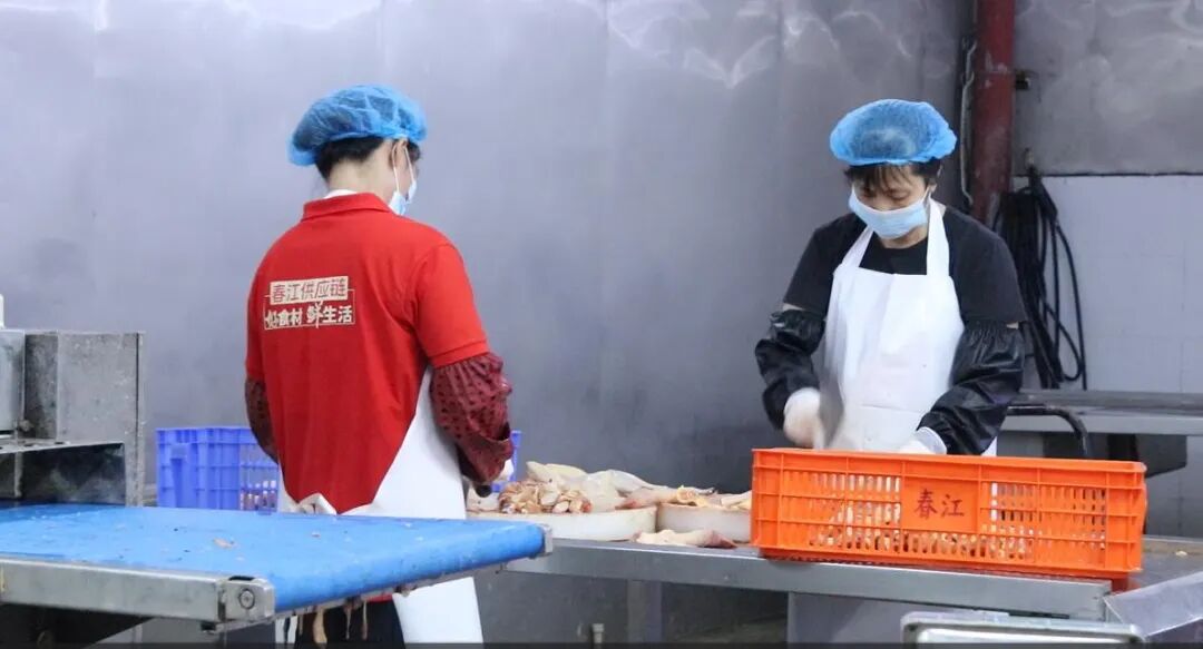 龙头逆袭！春江供应链人效3年翻番，观麦助力业务倍增