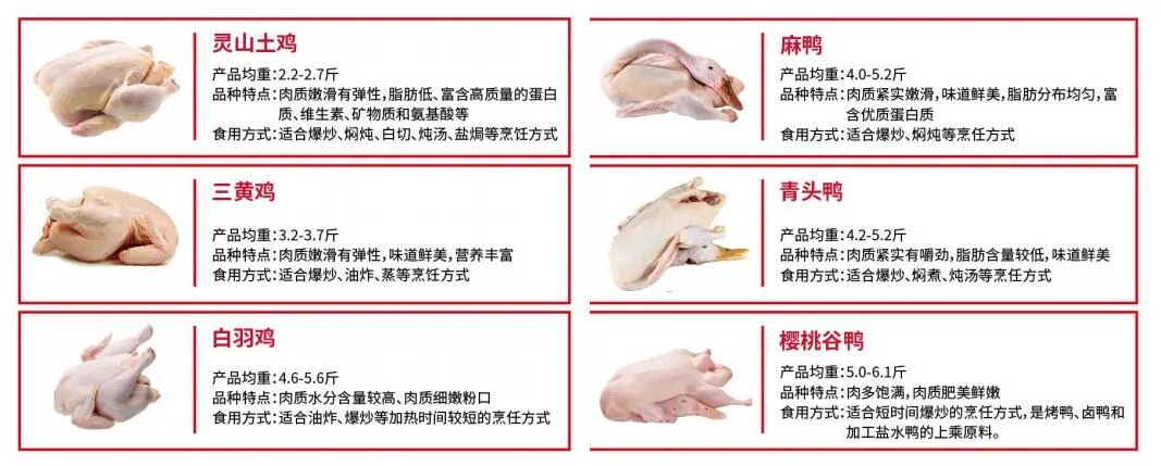 龙头逆袭！春江供应链人效3年翻番，观麦助力业务倍增