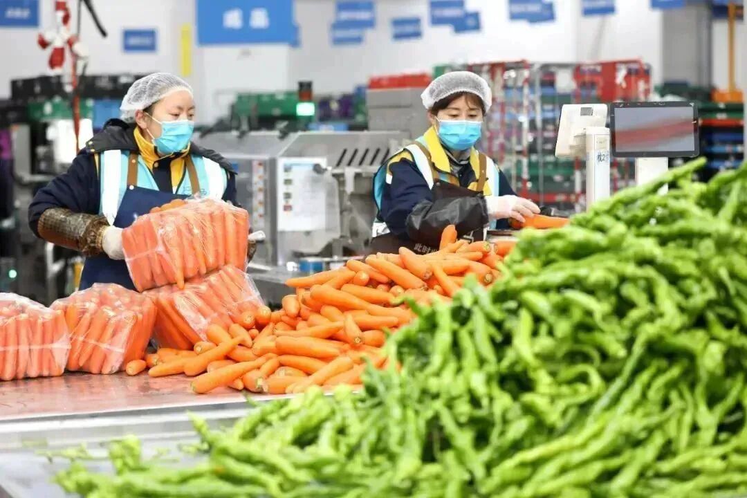 效率“卷王”！1人统管400单，侨铂商贸的数字化运营实战