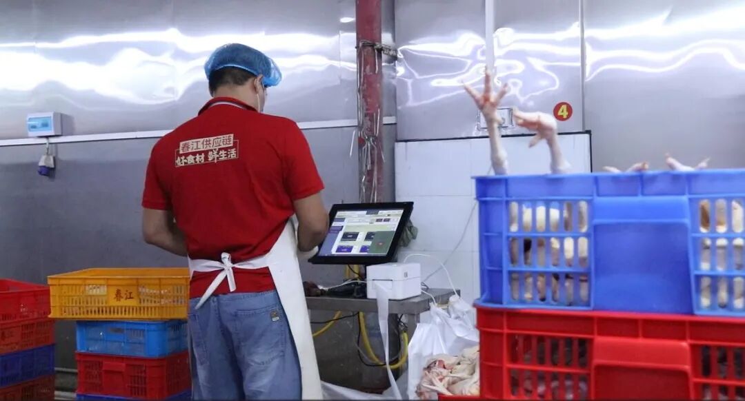 龙头逆袭！春江供应链人效3年翻番，观麦助力业务倍增