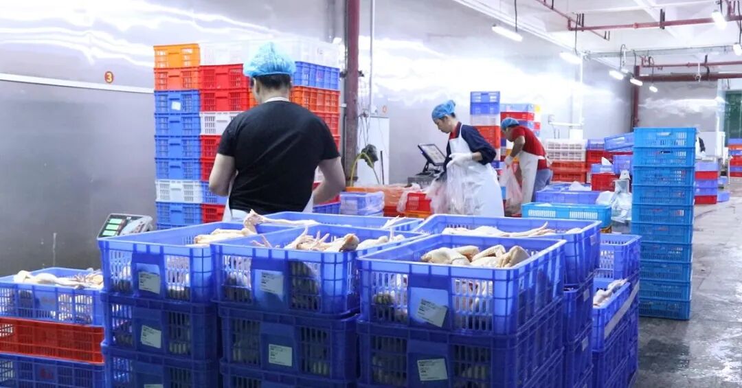 龙头逆袭！春江供应链人效3年翻番，观麦助力业务倍增