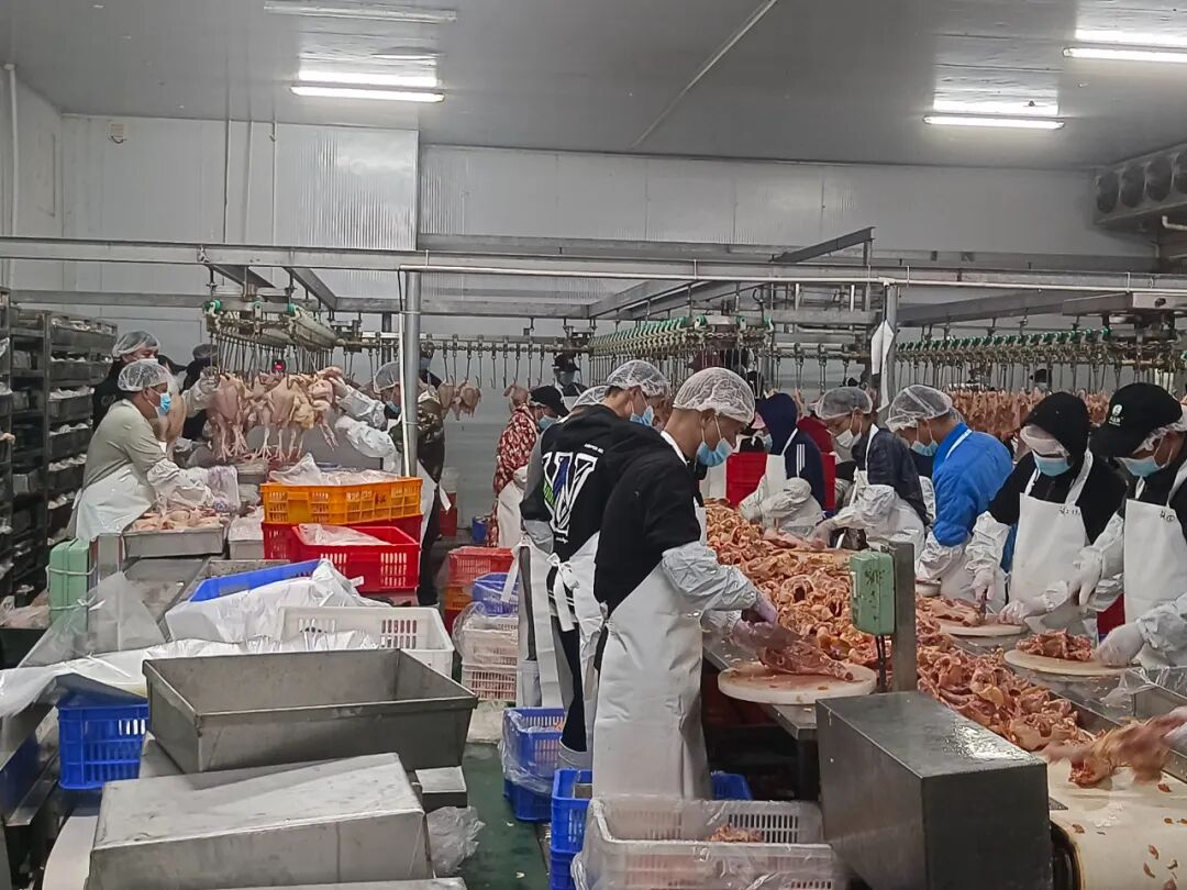 龙头逆袭！春江供应链人效3年翻番，观麦助力业务倍增