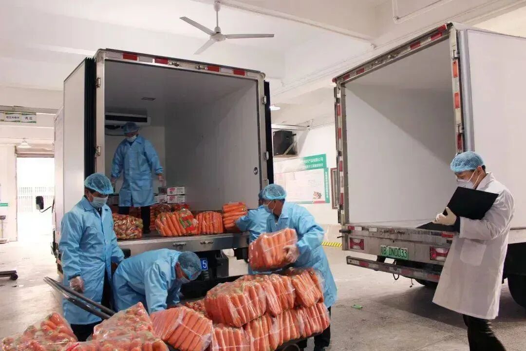 效率“卷王”！1人统管400单，侨铂商贸的数字化运营实战