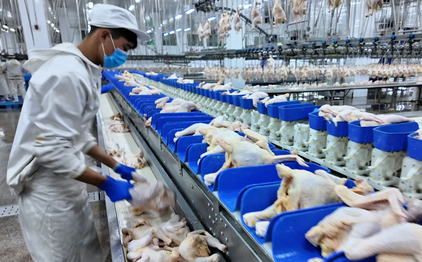 生鲜配送鸡肉公司损耗怎么做账务处理（2026版）