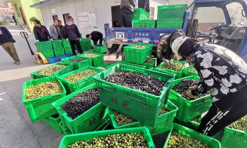 生鲜供应链管理标语（生鲜口号标语大全）