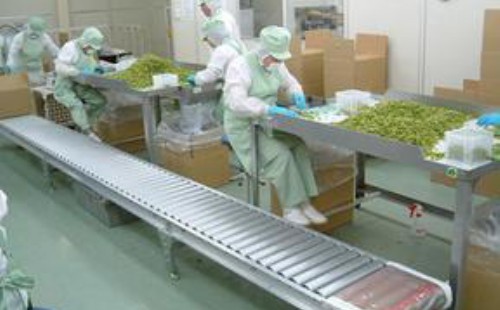 蔬菜分拣费用的税率是(蔬菜分拣费用的税率是多少) 蔬菜分拣费用的税率是(蔬菜分拣费用的税率是多少)