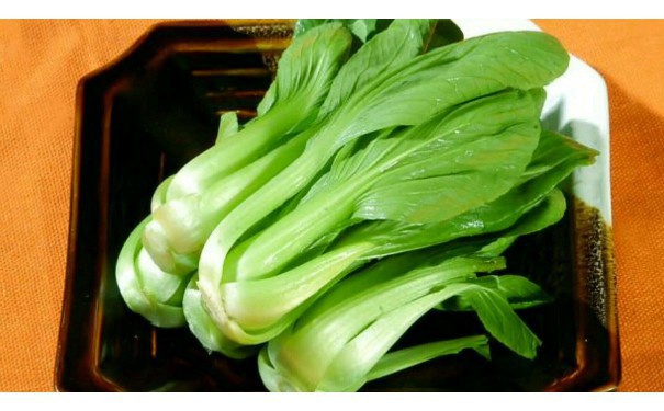 蔬菜配送有哪些公司
